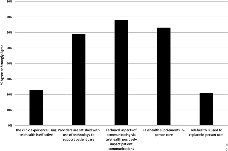 Free and Charitable Clinic Telehealth Adoption and Utilization During the COVID-19 Era: The North Carolina Experience.