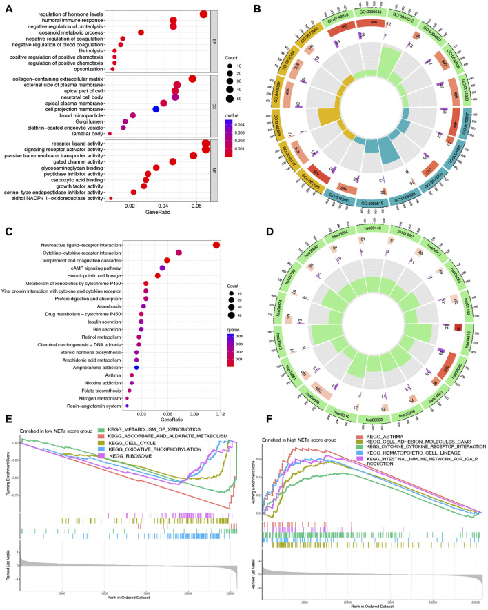 Identification and validation of molecular subtype and prognostic signature for lung adenocarcinoma based on neutrophil extracellular traps.