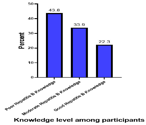 Incongruity Between Knowledge and Preventive Practices on Hepatitis B Infection Among University Students in Northeastern, Tanzania.