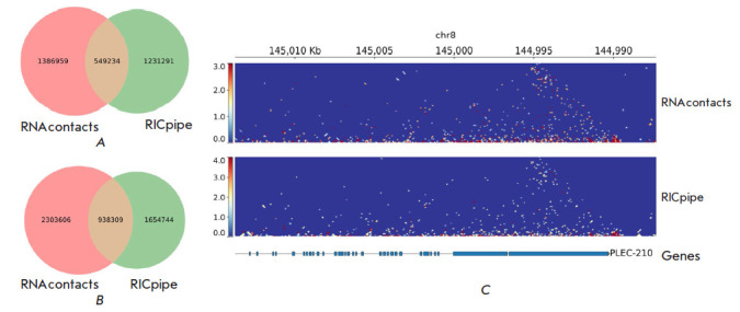 RNAcontacts: A Pipeline for Predicting Contacts from RNA Proximity Ligation Assays.