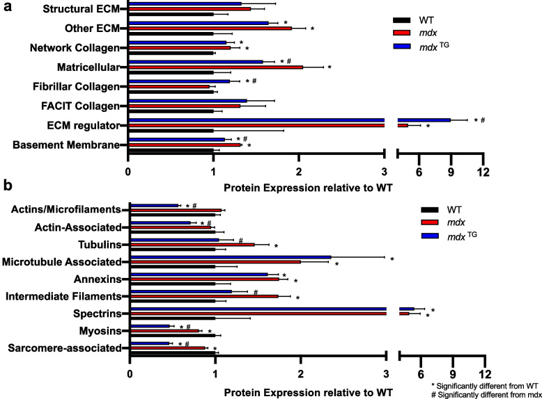 Multi-omics analysis of sarcospan overexpression in mdx skeletal muscle reveals compensatory remodeling of cytoskeleton-matrix interactions that promote mechanotransduction pathways.