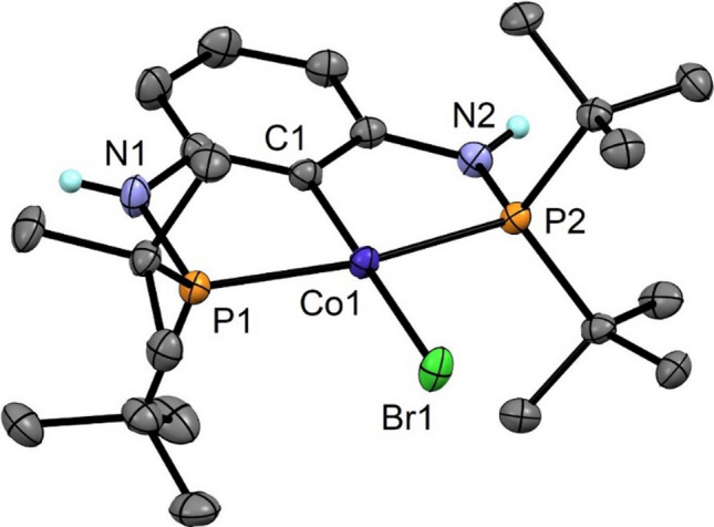 Solvothermal synthesis of cobalt PCP pincer complexes from [Co<sub>2</sub>(CO)<sub>8</sub>].