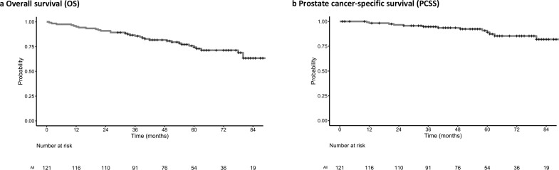 Outcomes following external beam radiotherapy to the prostate and pelvic lymph nodes in addition to androgen deprivation therapy in non-metastatic prostate adenocarcinoma with regional lymph node involvement: a retrospective cohort study.