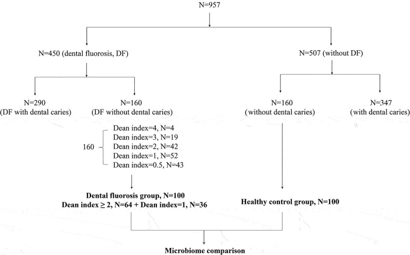 Saliva microbiome alterations in dental fluorosis population.