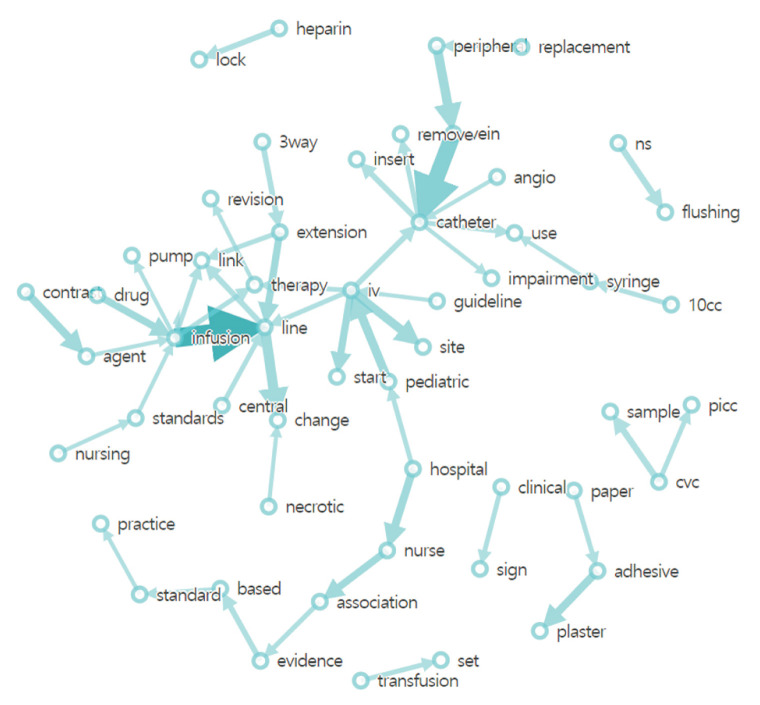 Keyword Network Analysis of Infusion Nursing from Posts on the Q&A Board in the Intravenous Nurses Café.