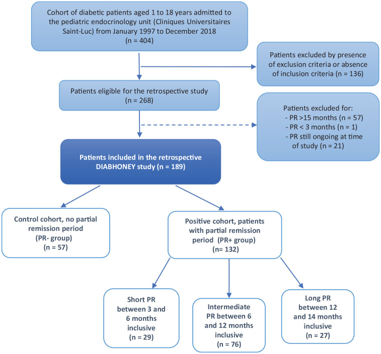 Influence of the occurrence and duration of partial remission on short-term metabolic control in type 1 diabetes: the DIABHONEY pediatric study.