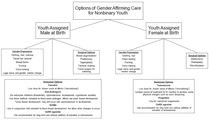 Gender-affirming endocrine care for youth with a nonbinary gender identity.