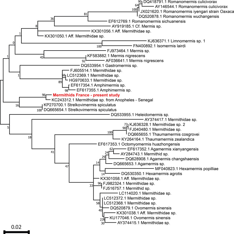 Three Aedes species infested by mermithids in France.