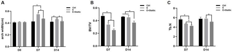 Suppressing STAT3 activation impairs bone formation during maxillary expansion and relapse.