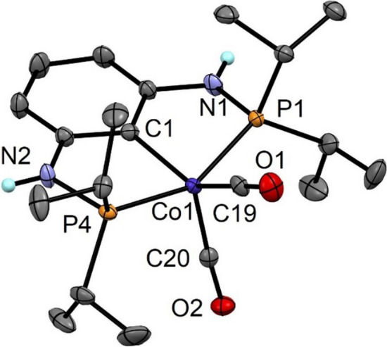 Solvothermal synthesis of cobalt PCP pincer complexes from [Co<sub>2</sub>(CO)<sub>8</sub>].