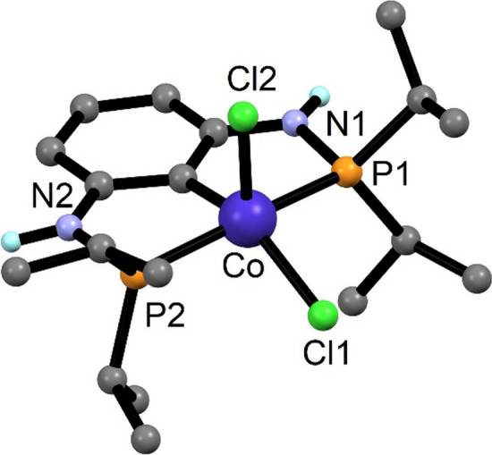 Solvothermal synthesis of cobalt PCP pincer complexes from [Co<sub>2</sub>(CO)<sub>8</sub>].