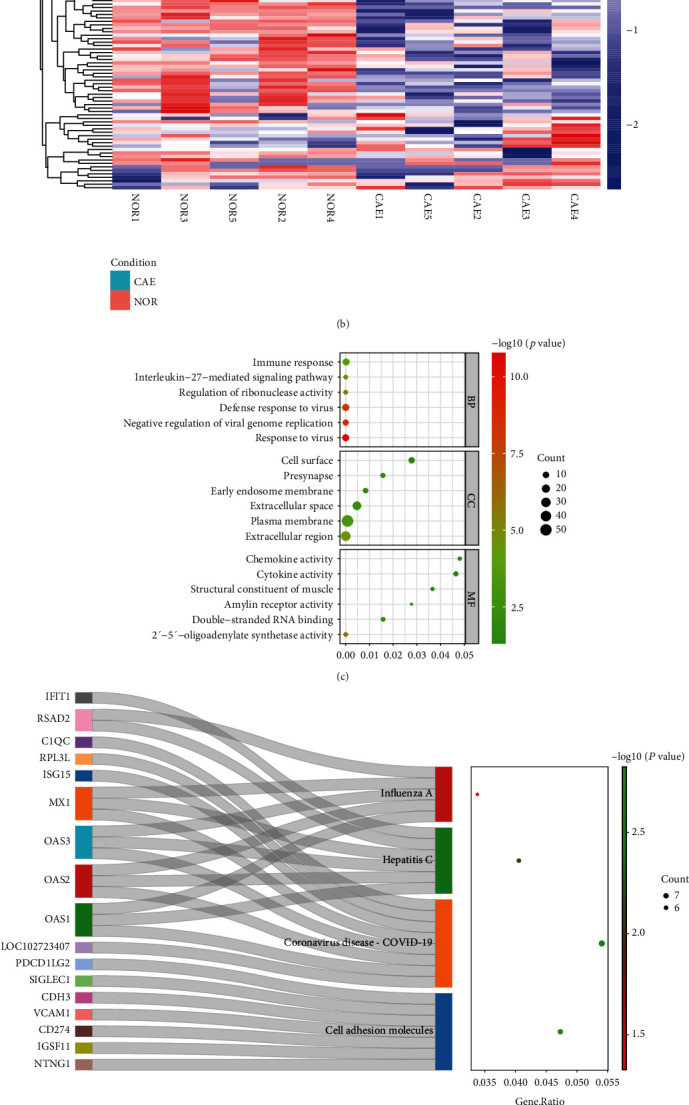 Identification of Potential Abnormal Methylation-Modified Genes in Coronary Artery Ectasia.