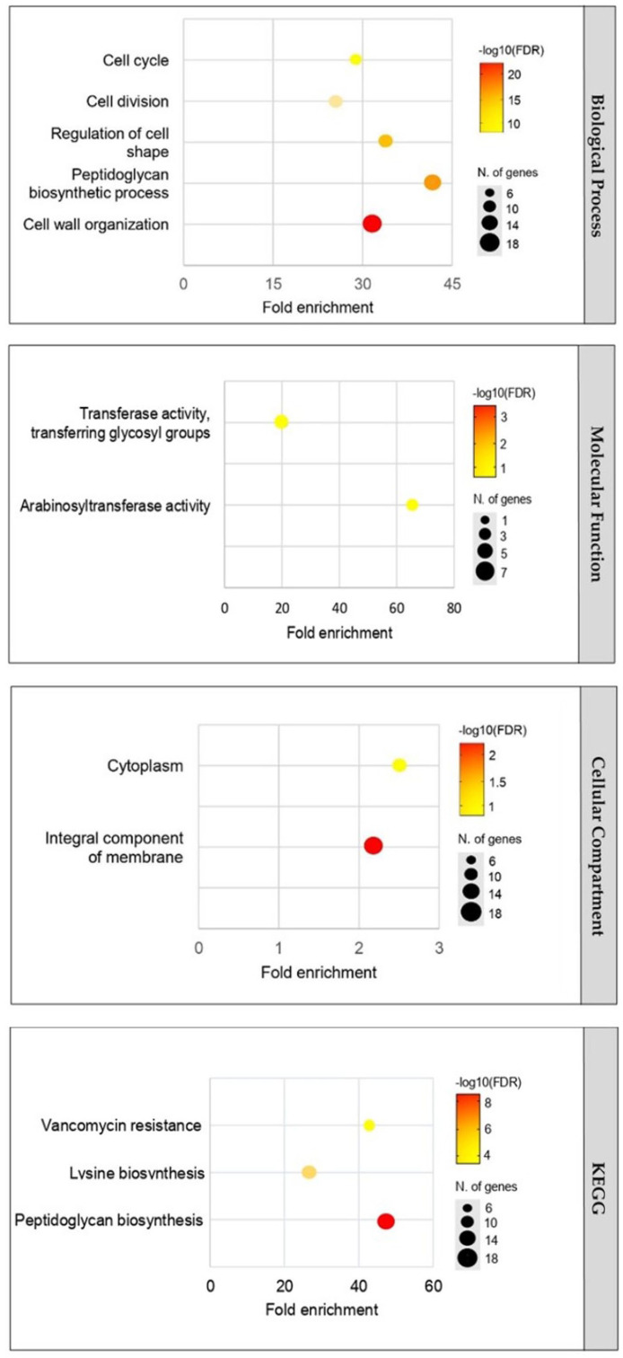 Bioinformatics Analysis to Uncover the Potential Drug Targets Responsible for <i>Mycobacterium tuberculosis</i> Peptidoglycan and Lysine Biosynthesis.