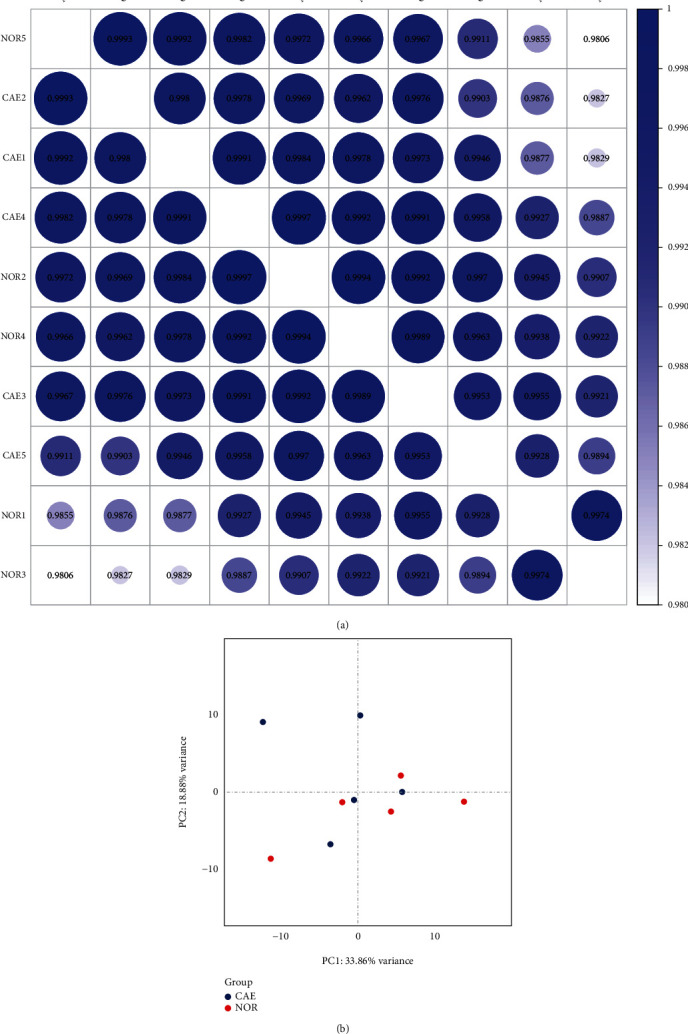 Identification of Potential Abnormal Methylation-Modified Genes in Coronary Artery Ectasia.