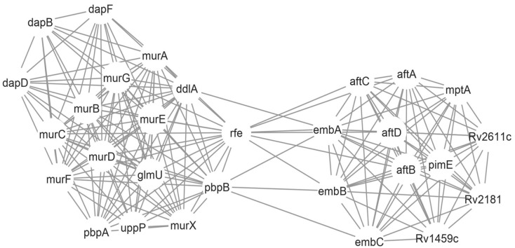 Bioinformatics Analysis to Uncover the Potential Drug Targets Responsible for <i>Mycobacterium tuberculosis</i> Peptidoglycan and Lysine Biosynthesis.