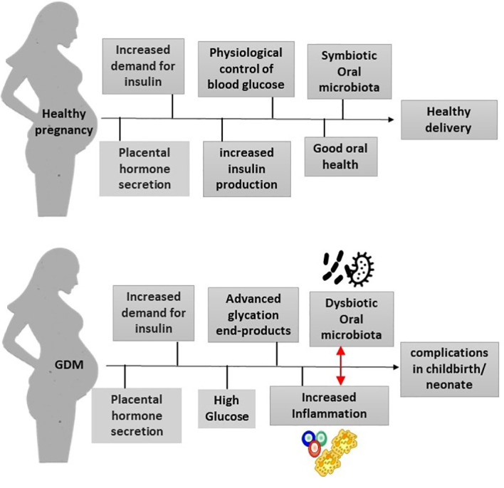 The oral microbiota and gestational diabetes mellitus.