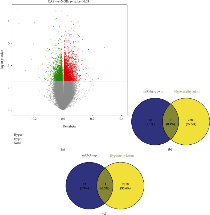 Identification of Potential Abnormal Methylation-Modified Genes in Coronary Artery Ectasia.