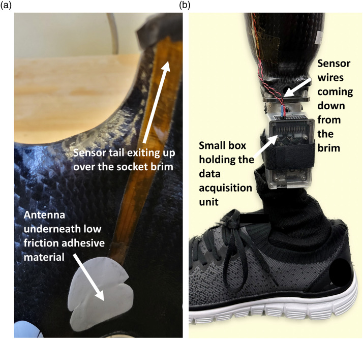 Beyond step counts: Including wear time in prosthesis use assessment for lower-limb amputation.