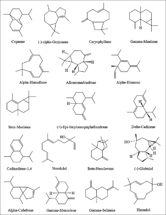 Investigations of chemical compositions and antioxidative potential of essential oils isolated from the leaves of two <i>Garcinia</i> species.