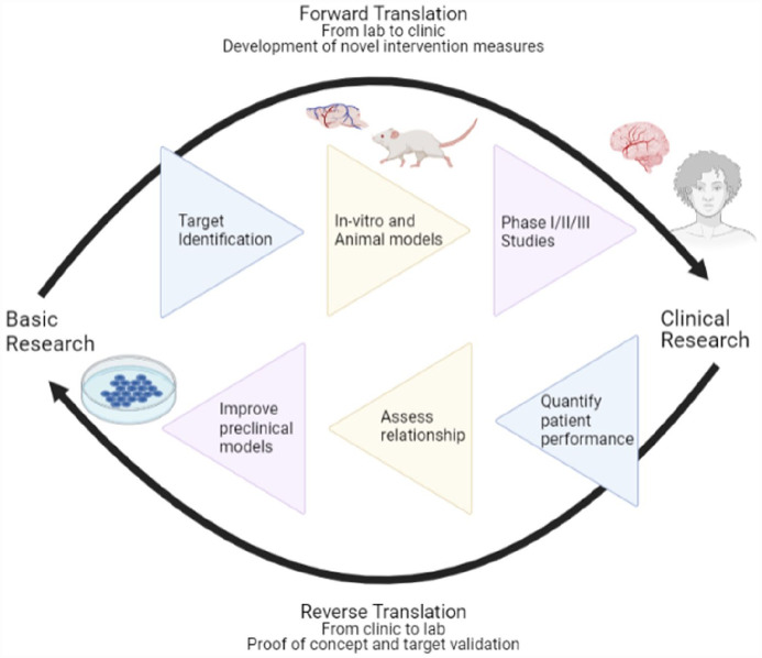 Identifying applications of virtual reality to benefit the stroke translational pipeline.