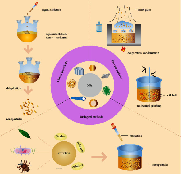 Nanoparticles: A Potential and Effective Method to Control Insect-Borne Diseases.