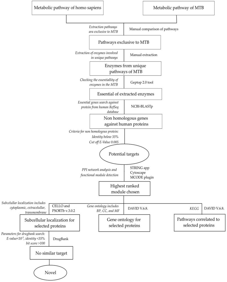 Bioinformatics Analysis to Uncover the Potential Drug Targets Responsible for <i>Mycobacterium tuberculosis</i> Peptidoglycan and Lysine Biosynthesis.