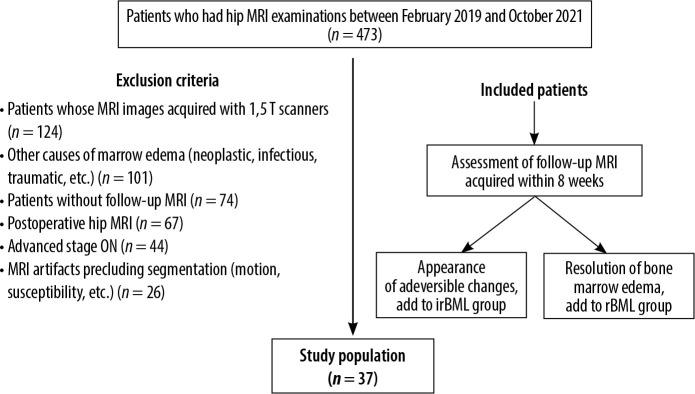 Bone marrow lesions of the femoral head: can radiomics distinguish whether it is reversible?