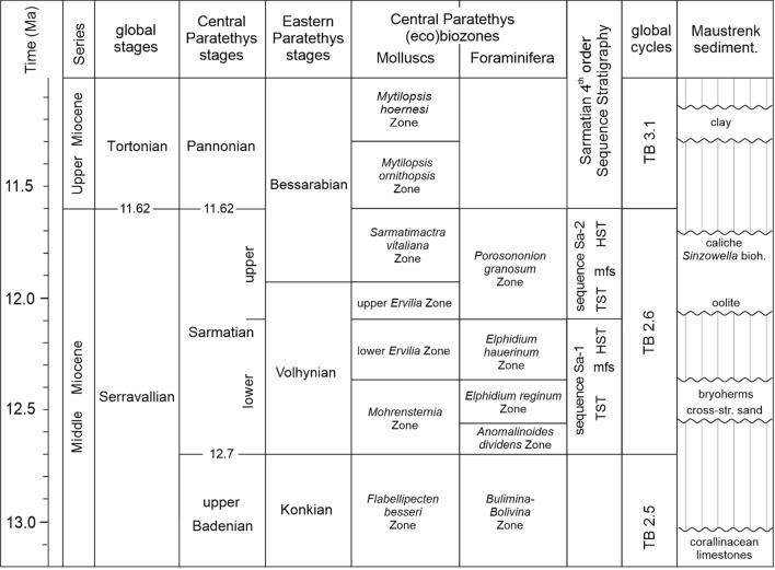 Bryoherms from the lower Sarmatian (upper Serravallian, Middle Miocene) of the Central Paratethys.