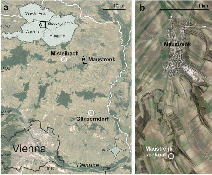 Bryoherms from the lower Sarmatian (upper Serravallian, Middle Miocene) of the Central Paratethys.