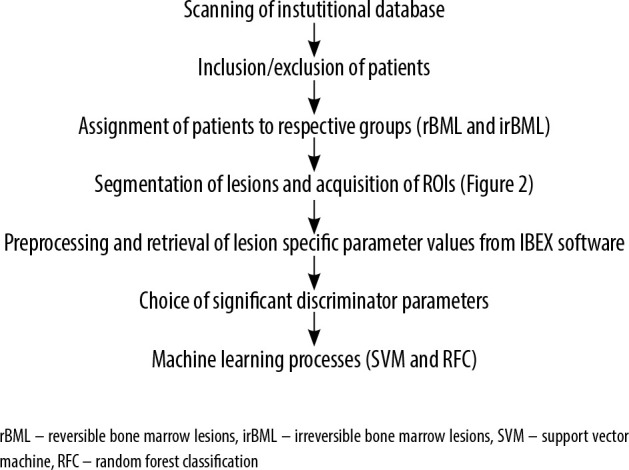 Bone marrow lesions of the femoral head: can radiomics distinguish whether it is reversible?