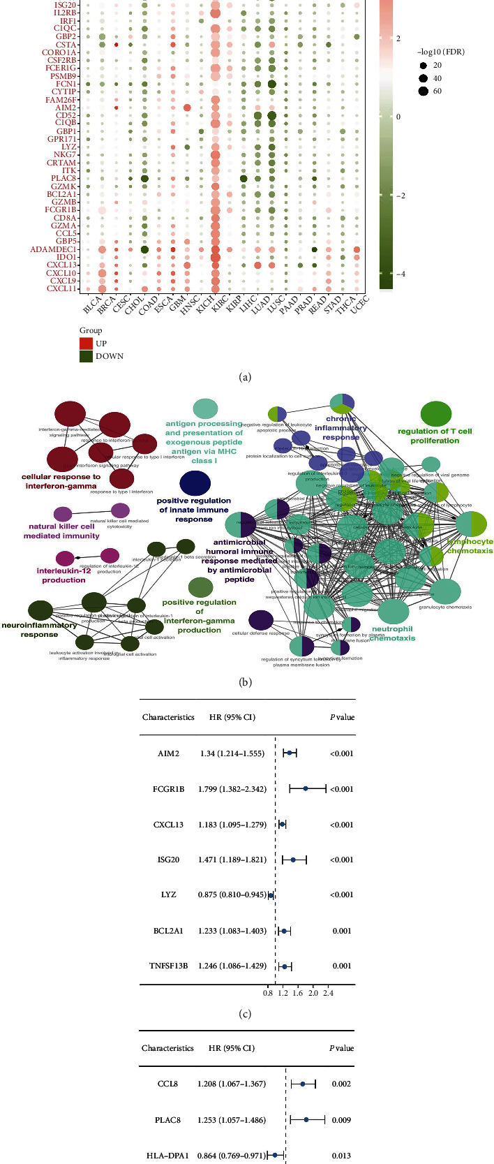 Investigation of Underlying Biological Association and Targets between Rejection of Renal Transplant and Renal Cancer.