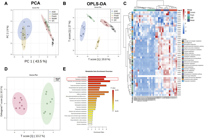 A novel alcohol steamed preparation from <i>Gastrodia elata</i> Blume: Pharmacological assessment of a functional food.