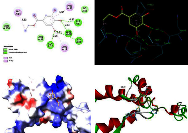 Ethyl Gallate: Promising Cytoprotective against HIV-1-Induced Cytopathy and Antiretroviral-Induced Cytotoxicity.