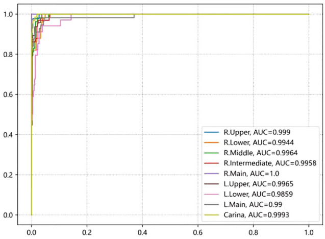 Distinguishing bronchoscopically observed anatomical positions of airway under by convolutional neural network.