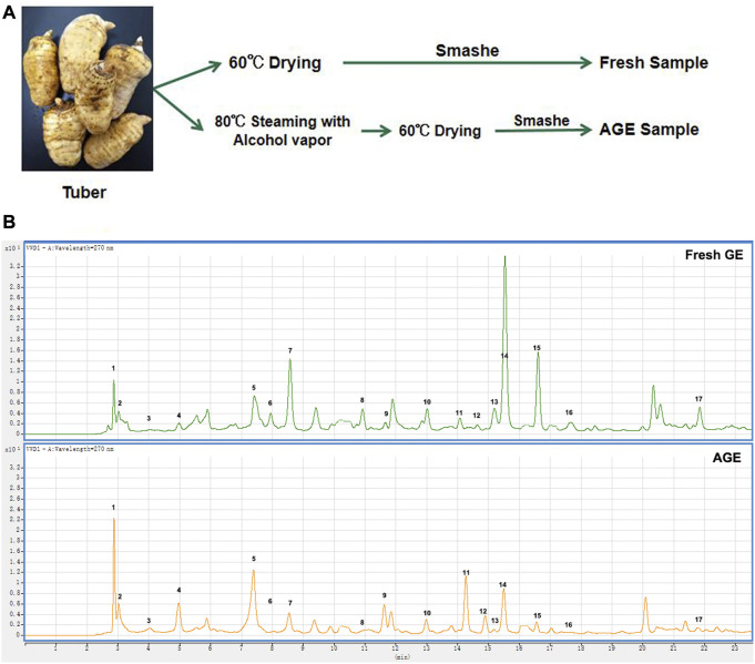 A novel alcohol steamed preparation from <i>Gastrodia elata</i> Blume: Pharmacological assessment of a functional food.