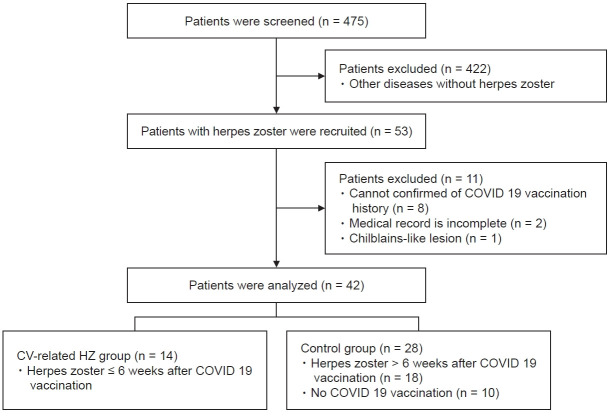 Herpes zoster after COVID-19 vaccination, aspect of pain medicine: a retrospective, single-center study.