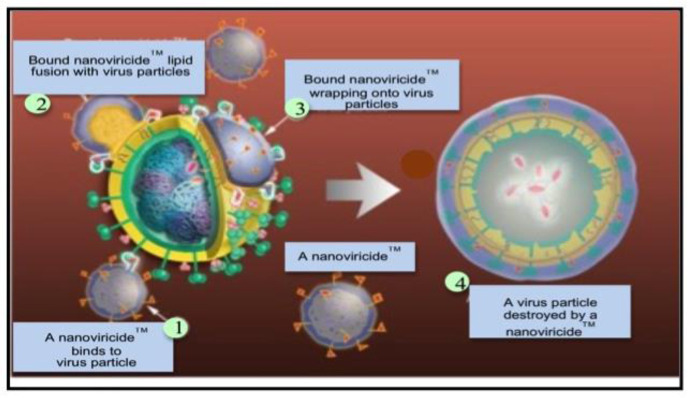 Prospect of nanomaterials as antimicrobial and antiviral regimen.