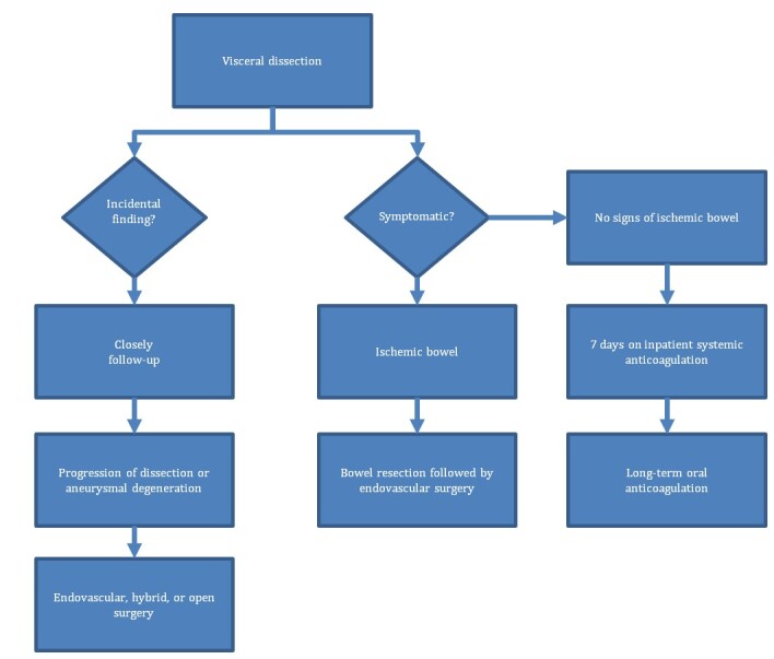 When and how to treat isolated visceral artery dissections - protocol proposal.