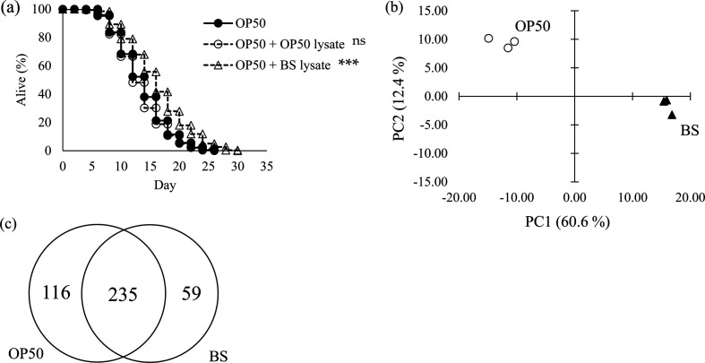 <i>Bacillus subtilis</i> TO-A extends the lifespan of <i>Caenorhabditis elegans</i>.