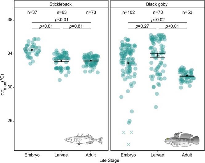 A novel method for measuring acute thermal tolerance in fish embryos.