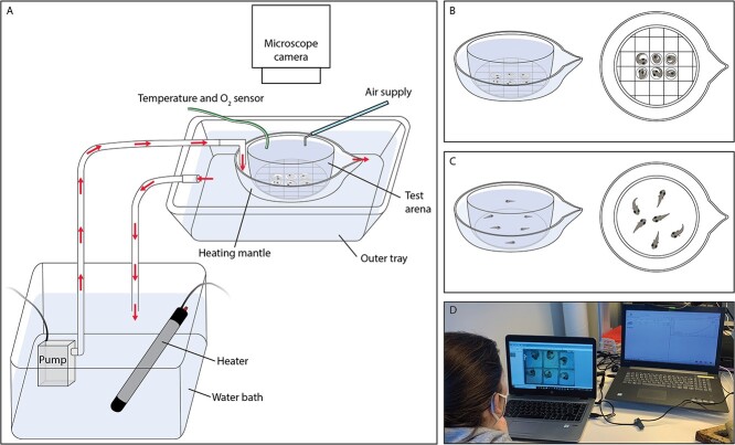 A novel method for measuring acute thermal tolerance in fish embryos.