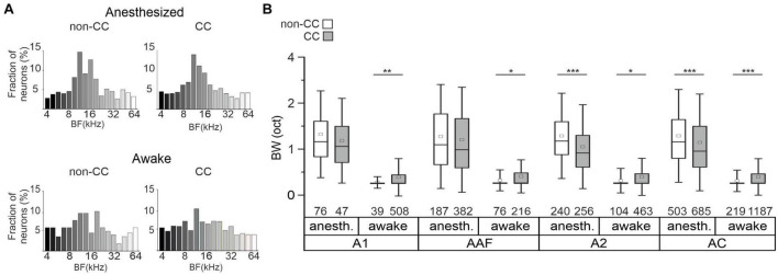 Distinct topographic organization and network activity patterns of corticocollicular neurons within layer 5 auditory cortex.