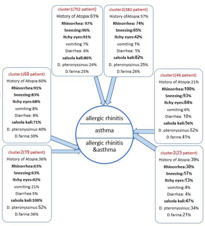 Exploring Common Symptoms in Patients with Respiratory Allergies Using K-Means Algorithm in the North-East of Iran in 2012-2015.