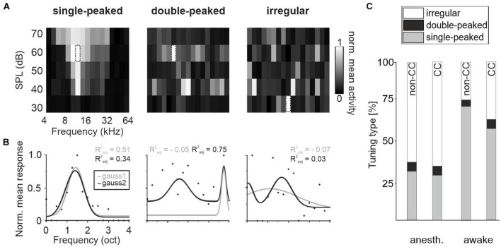 Distinct topographic organization and network activity patterns of corticocollicular neurons within layer 5 auditory cortex.