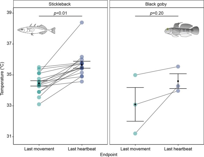 A novel method for measuring acute thermal tolerance in fish embryos.