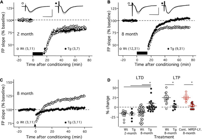 mGluR-dependent plasticity in rodent models of Alzheimer's disease.