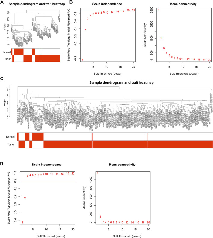 Screening of core genes and prediction of ceRNA regulation mechanism of circRNAs in nasopharyngeal carcinoma by bioinformatics analysis.