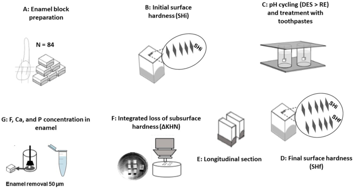 In vitro effect of low-fluoride toothpaste supplemented with sodium trimetaphosphate, xylitol, and erythritol on enamel demineralization.