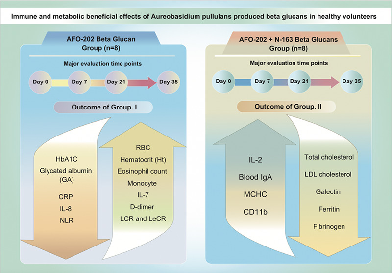 Beta 1,3-1,6 Glucans Produced by Two Novel Strains of Aureobasidium Pullulans Exert Immune and Metabolic Beneficial Effects in Healthy Middle-aged Japanese Men: Results of an Exploratory Randomized Control Study.