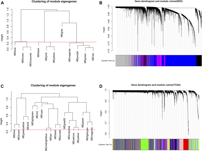 Screening of core genes and prediction of ceRNA regulation mechanism of circRNAs in nasopharyngeal carcinoma by bioinformatics analysis.